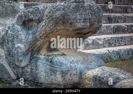 Chichen Itza kukulcan snake with lizard reptile in the open mouth, Mexico Stock Photo