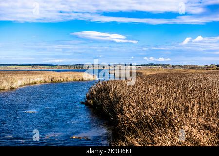 The Lake Federsee near Bad Buchau, Baden-Württemberg, Germany, Europe Stock Photo