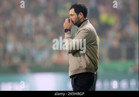 Bremen, Deutschland. 28th Oct, 2022. firo : 28.10.2022, football, soccer, 1st league, first 1st federal league, season 2022/2023, SV Werder Bremen - Hertha BSC Berlin gesture, Hertha coach: Sandro Schwarz Credit: dpa/Alamy Live News Stock Photo