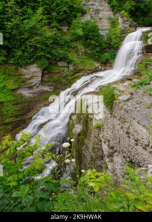Lucifer Falls flows strong after heavy summer rains, Robert Treman State Park, Tompkins County, New York Stock Photo