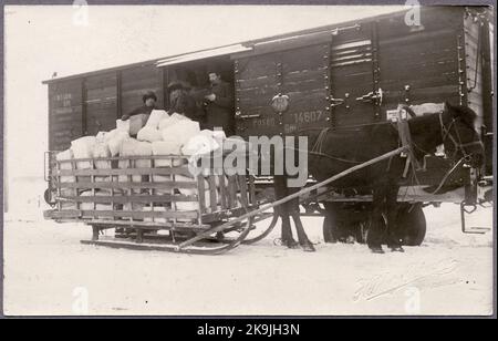 Work on unloading goods for further transport by horse in Haparanda during the First World War. This freight wagon comes from Germany and is equipped with the German state coat of arms in the middle of the carriage. Posen GM 14607. Stock Photo