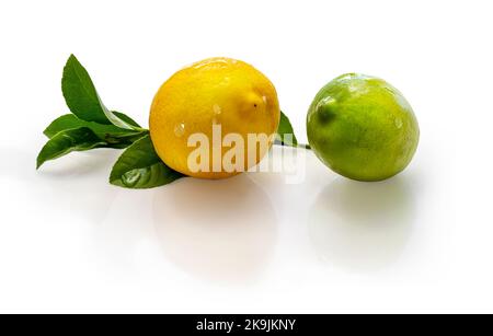 one lemon and one lime with leaves isolated on a white background. The ingredients for making refreshing drinks and cocktails. Stock Photo