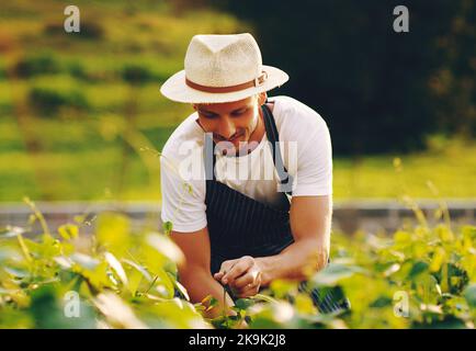 His gardening skills are in full bloom. a handsome young man working in a garden. Stock Photo
