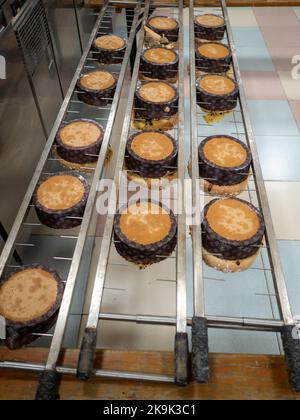 panettone cooking secrets concept hanging up down in the kitchen Stock Photo