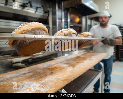 panettone cooking secrets concept hanging up down in the kitchen Stock Photo