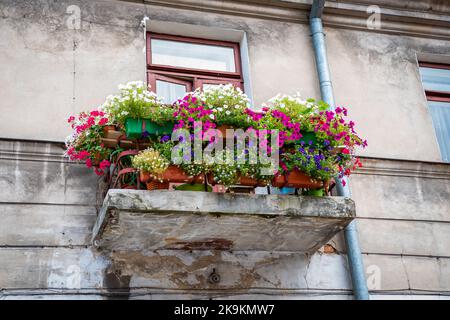 Old dilapidated balcony filled with lots of beautiful colorful flowers. Stock Photo