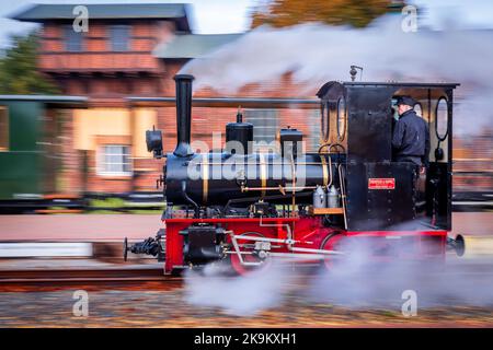 29 October 2022, Mecklenburg-Western Pomerania, Klütz: Engine driver Christian Süske and stoker Nils Böttcher shunt the small steam locomotive with 20 hp of the company Orenstein&Koppel from the year of construction 1921 in front of a passenger train. (Long exposure shot) At the station, the train is being prepared for a trip on the 'Kaffeebrenner' narrow-gauge line. For the end of the season on the tourist railroad with a track width of 600 millimeters, the route is traveled by a historic steam steed. The train will reach a speed of 20 kilometers per hour on the line between Klütz and Reppenh Stock Photo