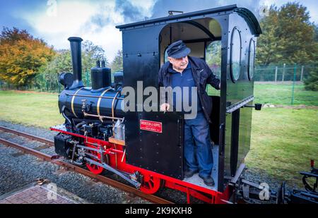 29 October 2022, Mecklenburg-Western Pomerania, Klütz: Engine driver Christian Süske drives the small steam locomotive with 20 hp of the company Orenstein&Koppel from the year of construction 1921 in front of a passenger train in the station for a trip on the small railway line 'Kaffeebrenner'. For the end of the season on the tourist railroad with a track width of 600 millimeters, the route is traveled by a historic steam steed. The train reaches a speed of 20 kilometers per hour on the just six-kilometer stretch between Klütz and Reppenhagen. The railroad line in northwest Mecklenburg was op Stock Photo