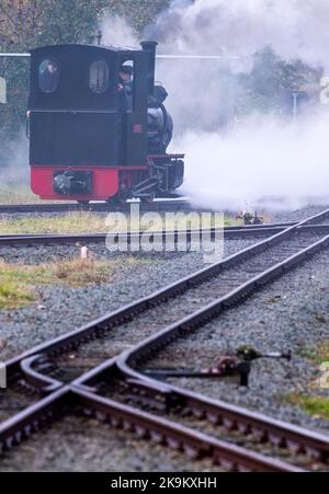 29 October 2022, Mecklenburg-Western Pomerania, Klütz: Engine driver Christian Süske drives the small steam locomotive with 20 hp of the company Orenstein&Koppel from the year of construction 1921 in front of a passenger train in the station for a trip on the small railway line 'Kaffeebrenner'. For the end of the season on the tourist railroad with a track width of 600 millimeters, the route is traveled by a historic steam steed. The train reaches a speed of 20 kilometers per hour on the just six-kilometer stretch between Klütz and Reppenhagen. The railroad line in northwest Mecklenburg was op Stock Photo