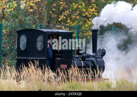 29 October 2022, Mecklenburg-Western Pomerania, Klütz: Engine driver Christian Süske drives the small steam locomotive with 20 hp of the company Orenstein&Koppel from the year of construction 1921 in front of a passenger train in the station for a trip on the small railway line 'Kaffeebrenner'. For the end of the season on the tourist railroad with a track width of 600 millimeters, the route is traveled by a historic steam steed. The train reaches a speed of 20 kilometers per hour on the just six-kilometer stretch between Klütz and Reppenhagen. The railroad line in northwest Mecklenburg was op Stock Photo