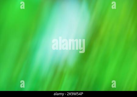 Green bokeh abstract light background. Natural bokeh background Stock Photo