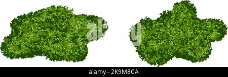 Set of green moss bushes or forest lichen with realistic texture isolated on white background Stock Vector