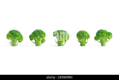 Green broccoli isolated on a white background. Stock Photo