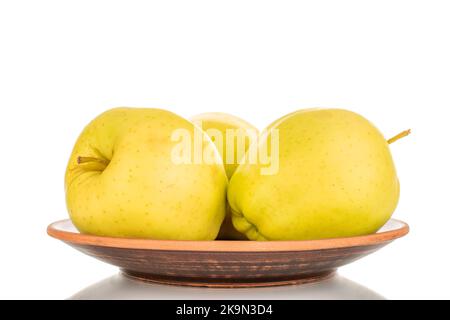 Three ripe yellow apples on a clay plate, macro, isolated on white background. Stock Photo