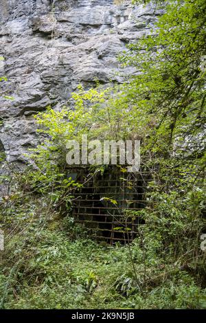 UK, England, Devonshire. The William Pengelly Cave Studies Centre in Buckfastleigh. A closed cave for the protection of the Greater Horseshoe Bats. Stock Photo