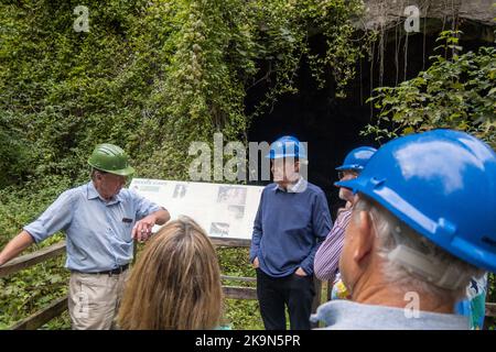 UK, England, Devonshire. The William Pengelly Cave Studies Centre in Buckfastleigh. A Geologist guide showing visitors into Reeds Cave entrance. Stock Photo