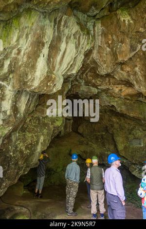 UK, England, Devonshire. The William Pengelly Cave Studies Centre in Buckfastleigh. A Geologist guide showing visitors into Reeds Cave entrance. Stock Photo