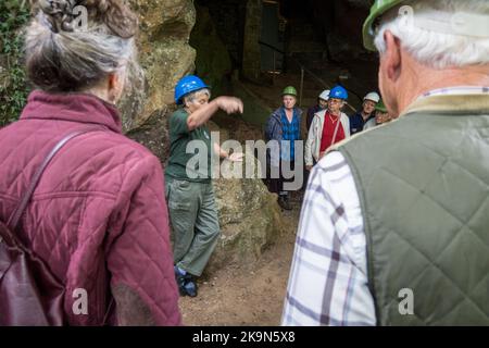 UK, England, Devonshire. The William Pengelly Cave Studies Centre in Buckfastleigh. A Geologist guide showing visitors around Joint Mitnor Cave (also Stock Photo