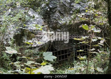 UK, England, Devonshire. The William Pengelly Cave Studies Centre in Buckfastleigh. Rift Cave now closed for the protection of the Greater Horseshoe Bats Stock Photo