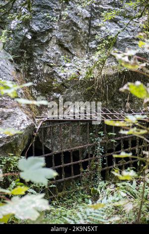 UK, England, Devonshire. The William Pengelly Cave Studies Centre in Buckfastleigh. Rift Cave is now closed for the protection of the Greater Horseshoe Bats. Stock Photo