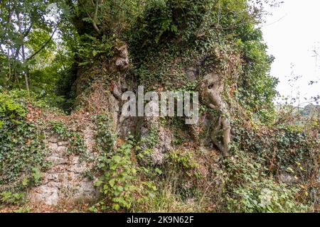 UK, England, Devonshire. The William Pengelly Cave Studies Centre in Buckfastleigh. A Lamprohyre Dyke (centre left). Stock Photo