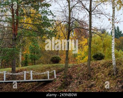 Iron bridge with handrails over a dried up lake in the forest Stock Photo