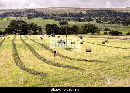 Haymaking time, Woodhall, Yorkshire Dales National Park. The grass is cut and round-baled to become silage for winter animal feed. Stock Photo