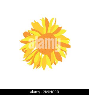 Bright sunflower on white background. Vector illustration. Stock Vector