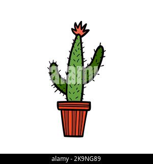 Vector illustration of cactus in foral pot. Houseplant on white background Stock Vector