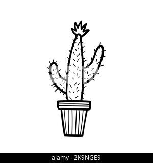 Cartoon style vector illustartion. Cactus houseplant in floral pot. Coloring book element. Stock Vector