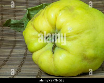 Ripe quince on the table close-up. Unusually shaped fruit. An ugly rotting quince. fruit with leaves. uneven shape. Healthy diet. Ingredient for jam. Stock Photo