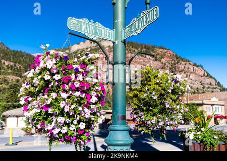 Ouray, Colorado small mining town in Rocky mountains with main street 4th avenue sign by calibrachoa flowers in hanging basket decoration in summer Stock Photo