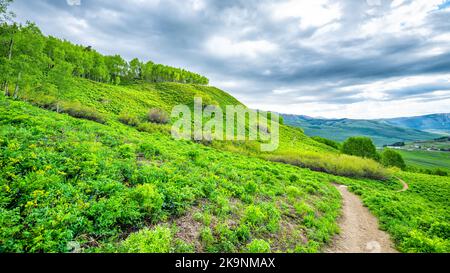 Panorama view of Colorado Mt Crested Butte ski resort meadow at wildflowers festival with Snodgrass hiking trail meadow valley view in summer Stock Photo