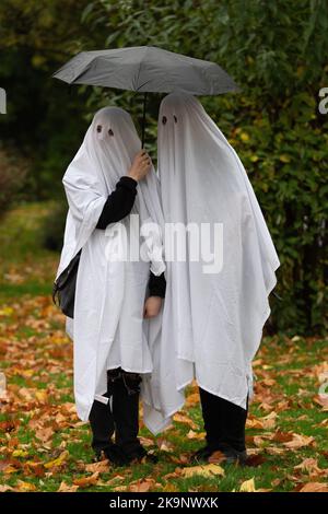 Manchester, UK. 29th Oct, 2022. World record attempt as number of people dressed as ghosts at Platt Fields Park in Manchester. The attempt orgainsed by Paranormal Rescue raised money for the dogs charity Greyhound Gap. The attempt fell short of the world record which organisers blamed on the inclement weather and recent stabbing nearby outside student accomodation at Owens Park student accomodation in Fallowfield. Credit: GaryRobertsphotography/Ģ����ý Live News Stock Photo