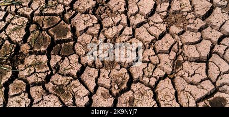 Dry and cracked land due to lack of rain. Effects of climate change such as desertification and droughts. Global shortage of water on the planet and g Stock Photo