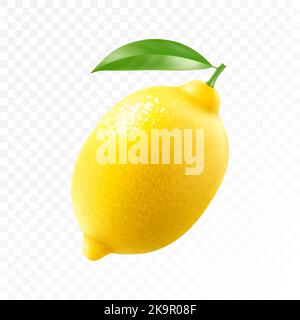 Fresh lemon with green leaf isolated on transparent background. Realistic 3d vector illustration. Fully editable handmade mesh. Stock Vector