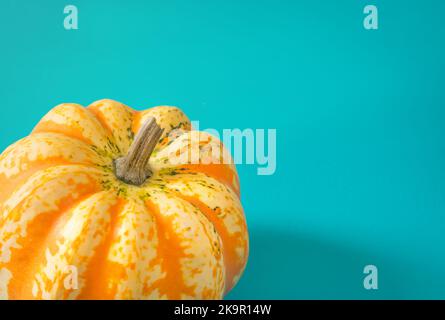 Turquoise background with part with motley pumpkin in horizontal format Stock Photo