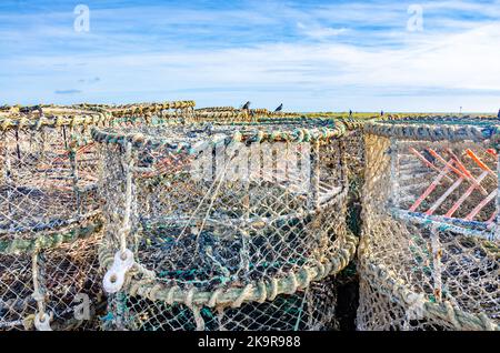 Crab nets in Mudeford Quay, Dorset Stock Photo - Alamy