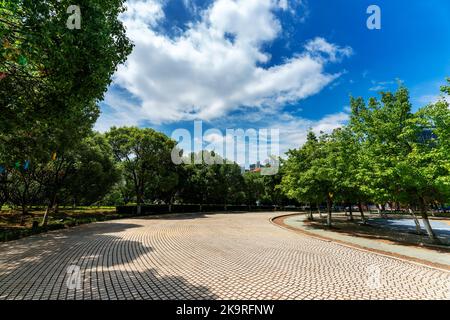 Empty square floor and green forest natural landscape Stock Photo