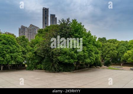 Empty square floor and green forest natural landscape Stock Photo