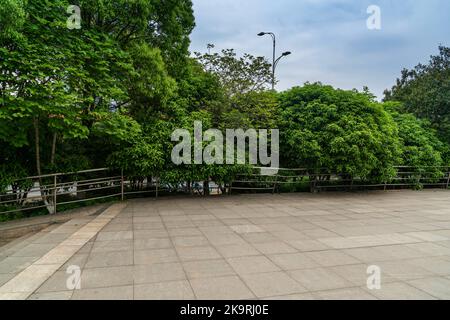 Empty square floor and green forest natural landscape Stock Photo