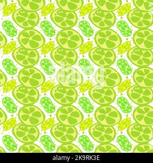 Seamless texture. Decorative background design with the sliced citrus summer fruits. Colorful vector pattern for textile, stationery, wallpaper, wrapp Stock Vector