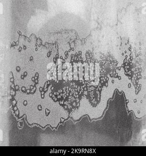 Abstract grunge dotted background. Frozen window pattern. Vector design element. Stock Vector