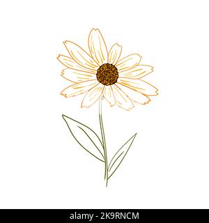 Vector illustration of the yellow rudbeckia flower on white background. Stock Vector