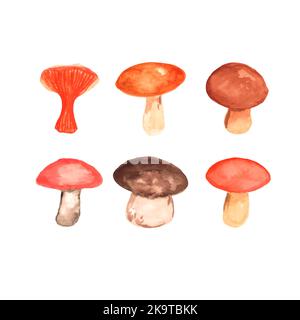 Set of watercolor forest mushrooms Stock Vector