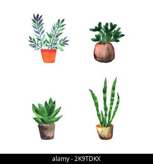 Watercolor set of hand painted house plants Stock Vector