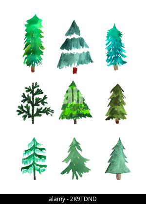 Set of different style watercolor spruce trees Stock Vector