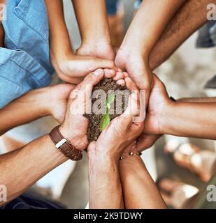 Growth arises from the efforts we put in as a team. Closeup shot of a group of people holding a plant growing in soil. Stock Photo
