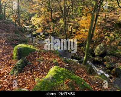 Padley Gorge Peak Distrcit Derbyshire Stock Photo