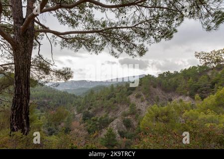 Landscape in the Troodos Mountains, Cyprus Stock Photo